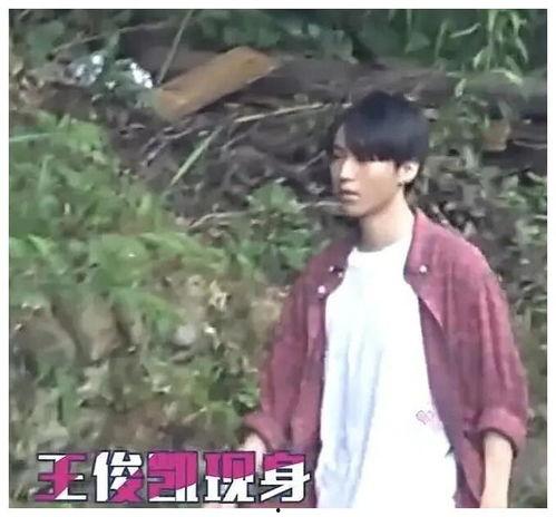 王俊凯黑粉爆料视频播放,揭秘背后真相与争议  第3张